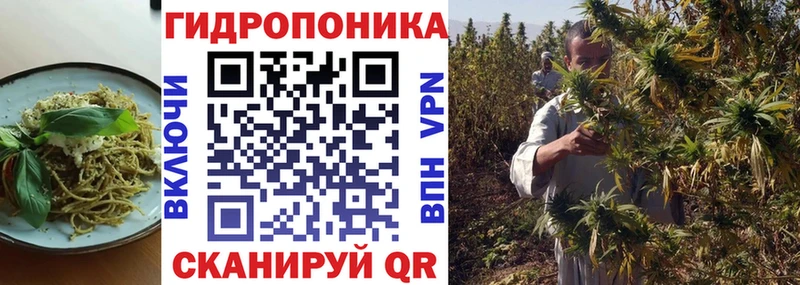 Cannafood конопля  Черкесск 