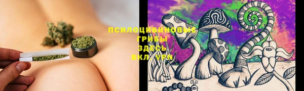 дмт Верея