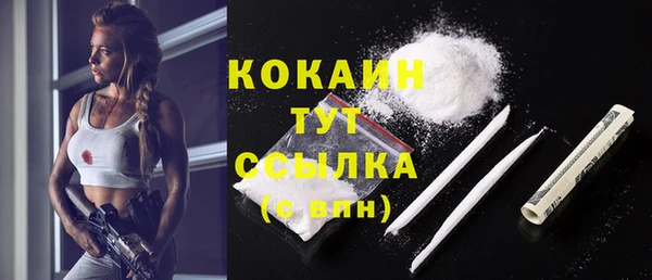 мдпв Бородино
