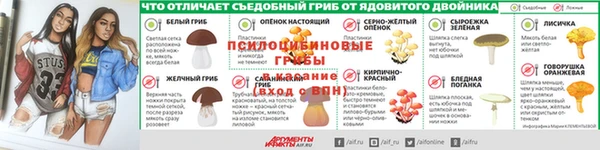 бошки Верхний Тагил