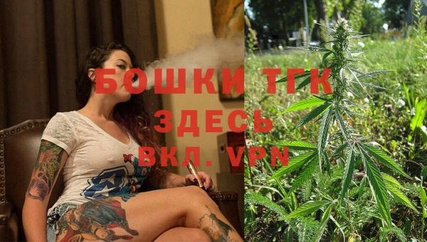 дмт Верея